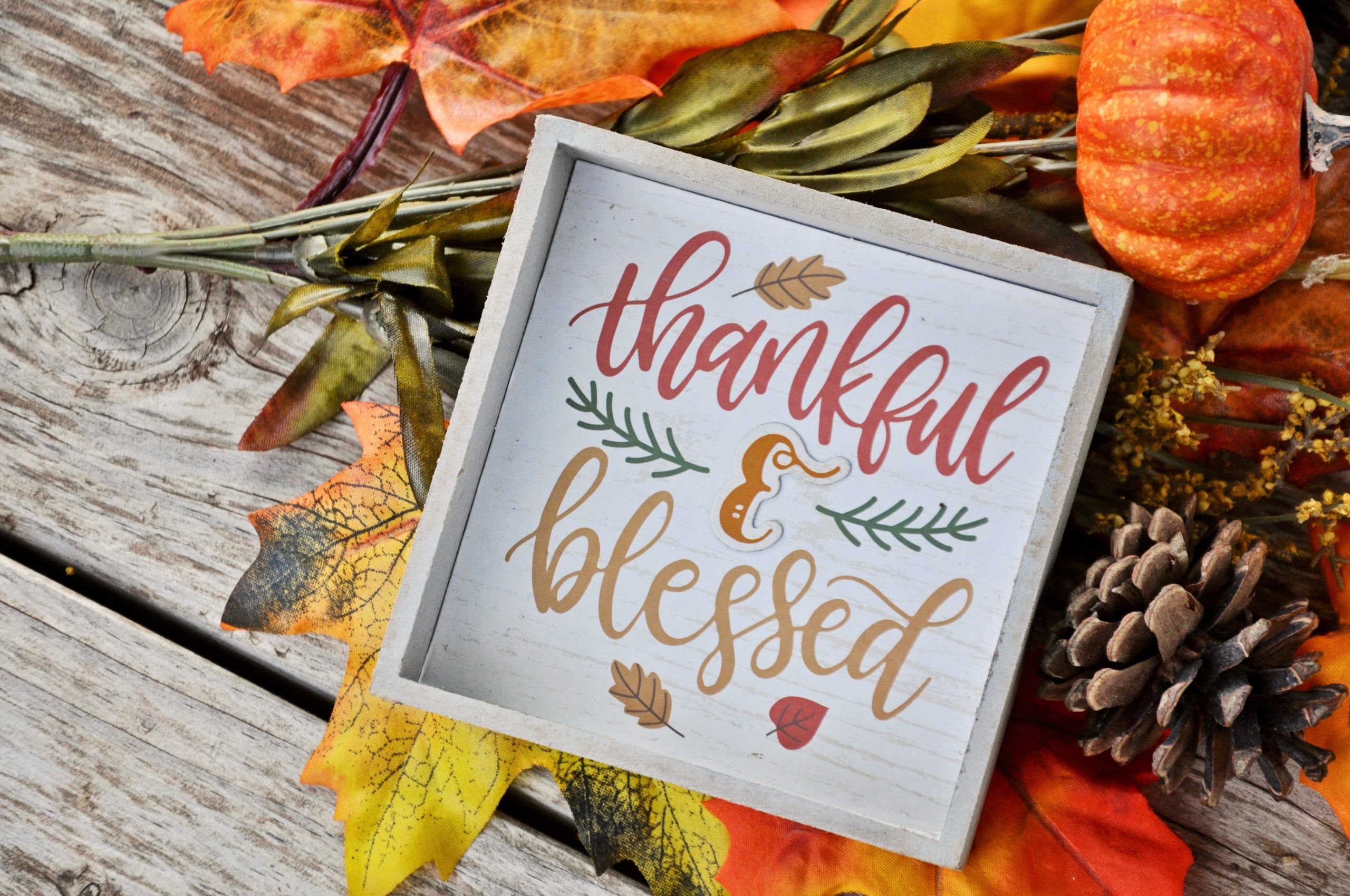 Thankful and Blessed Autumn photo