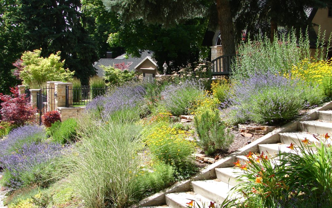 Beautiful Lawns in Dry Climates – Try Xeriscaping