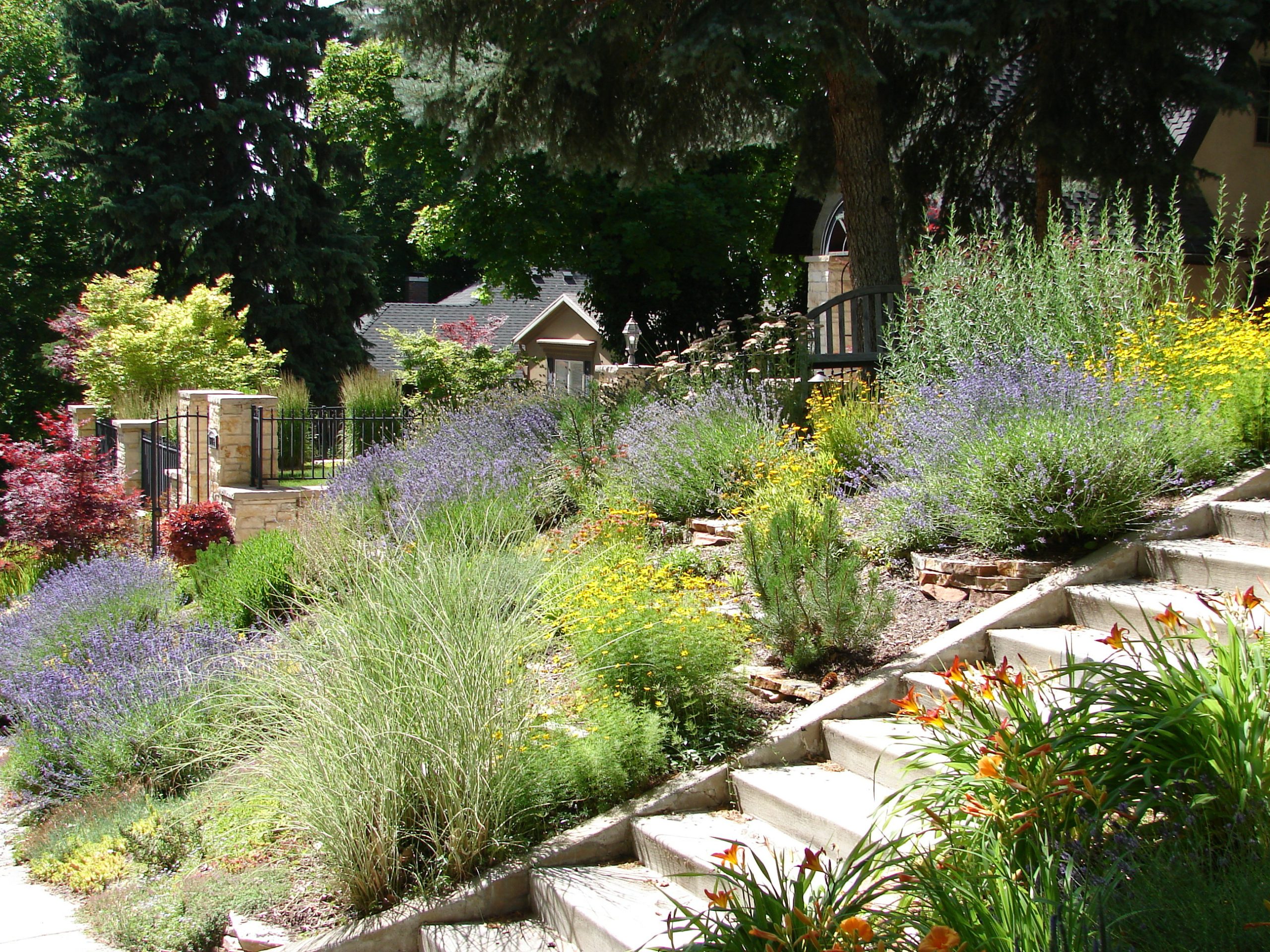 Beautiful Lawns in Dry Climates Beautiful Lawns in Dry Climates